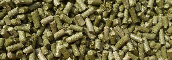 Luzernepellets – Holzner Pferdefutter