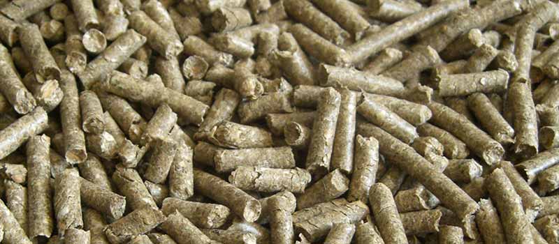Haferschälkleie – Holzner Pferdefutter