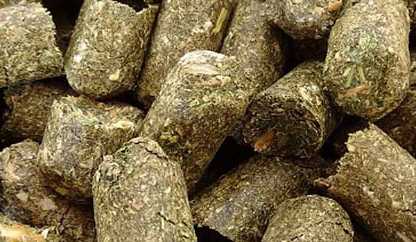 Maiscobs – Holzner Pferdefutter