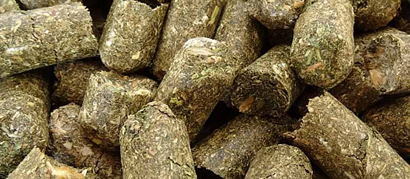 Maiscobs – Holzner Pferdefutter