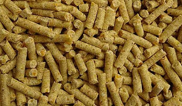 Maispellets – Holzner Pferdefutter