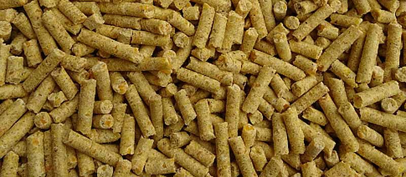 Maispellets – Holzner Pferdefutter