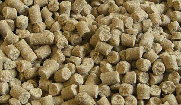 Reiskleie, stabilisiert – Holzner Pferdefutter