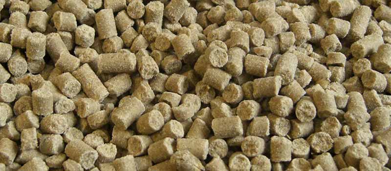 Reiskleie, stabilisiert – Holzner Pferdefutter